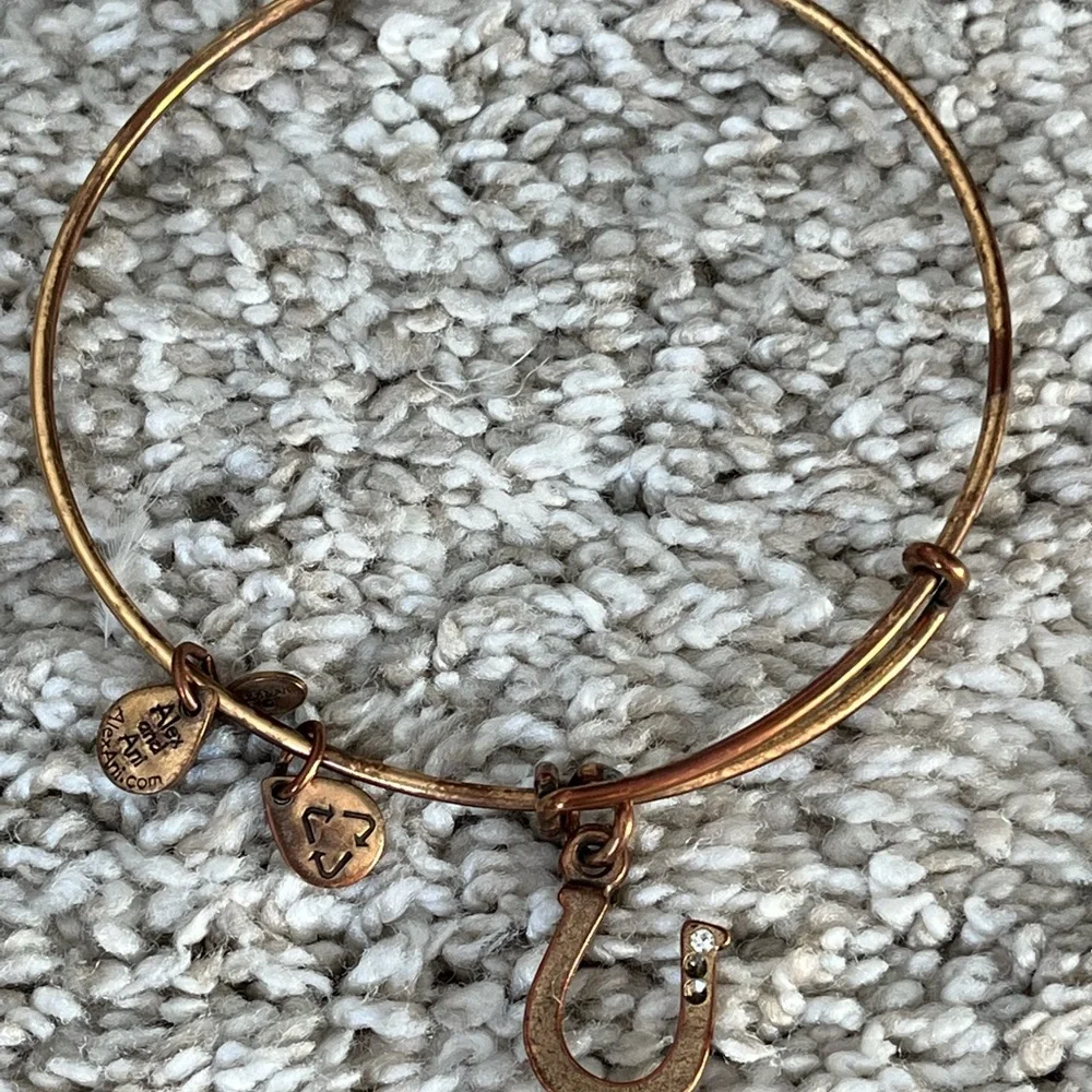 Alex and Ani charm bangles set of 9 - Picture 10 of 11